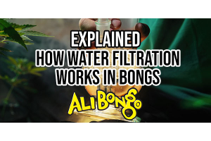 person hitting a bong with water being filtered through it in the background with the title of the blog in the foreground (and the ali bongo logo)
